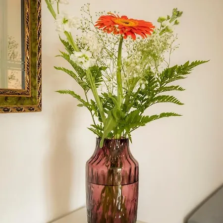 Moonstone In Centre Appartement *