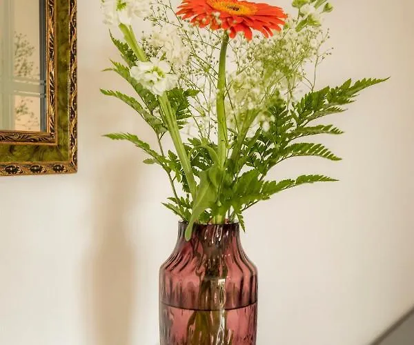 Moonstone In Centre דירה *